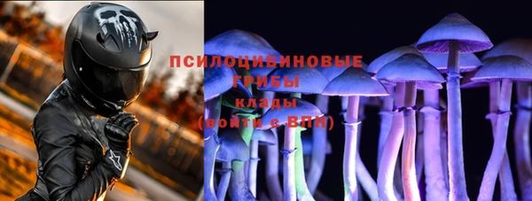 каннабис Майский