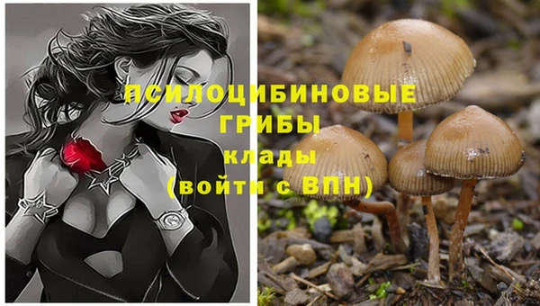 соль ск Магадан